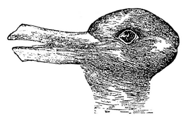 Duck-Rabbit Illusion